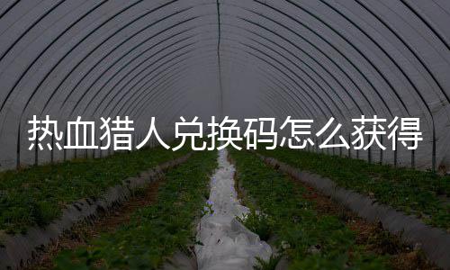 取2全兑换得 兑换4大热血热血码怎么获码免费领猎人猎人